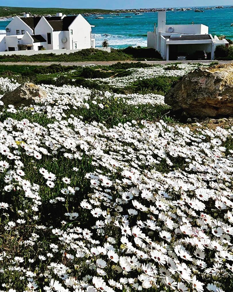 Sonkwas 10 Villa Paternoster Luaran gambar